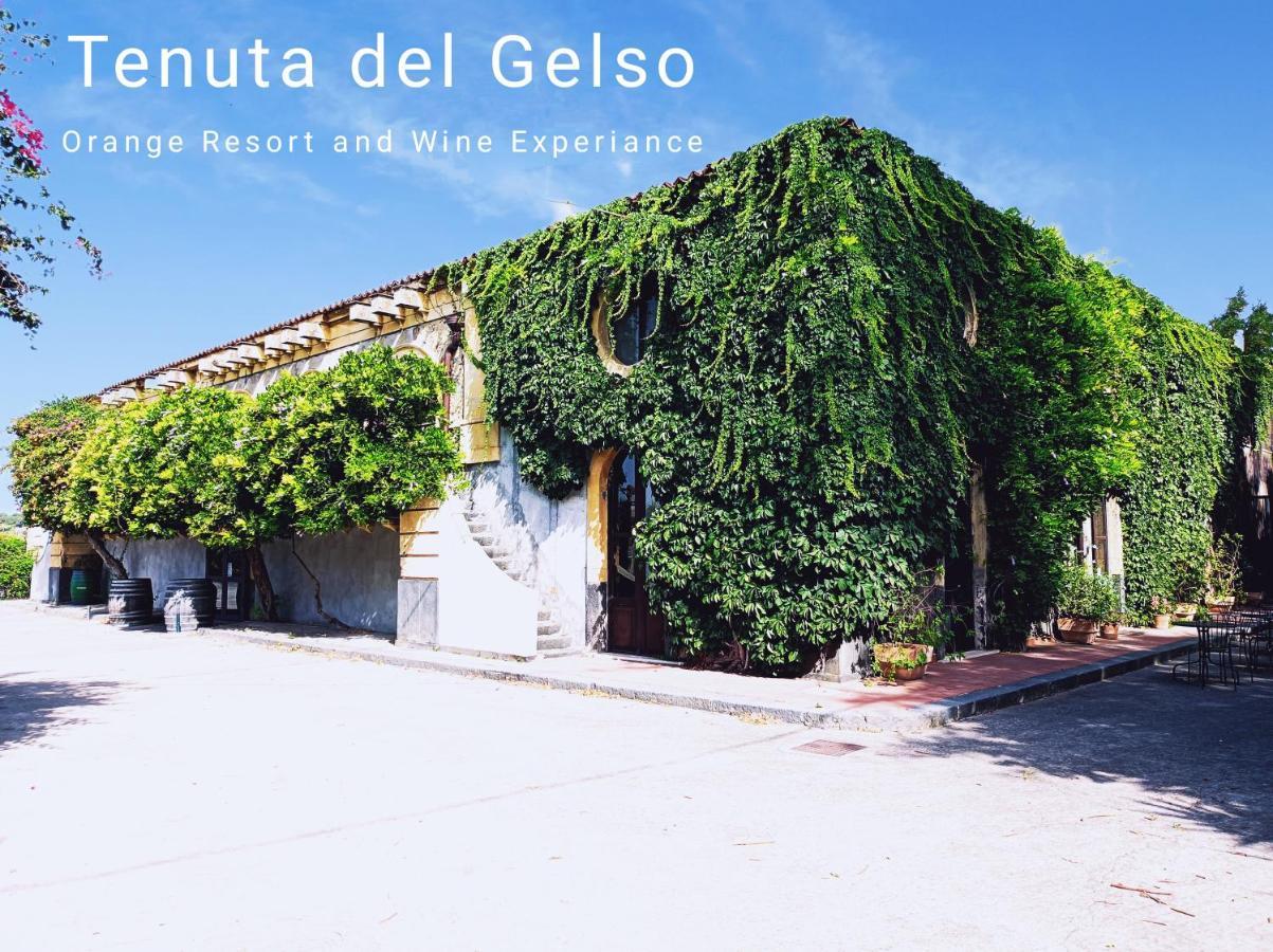 Tenuta Del Gelso Catania Ngoại thất bức ảnh